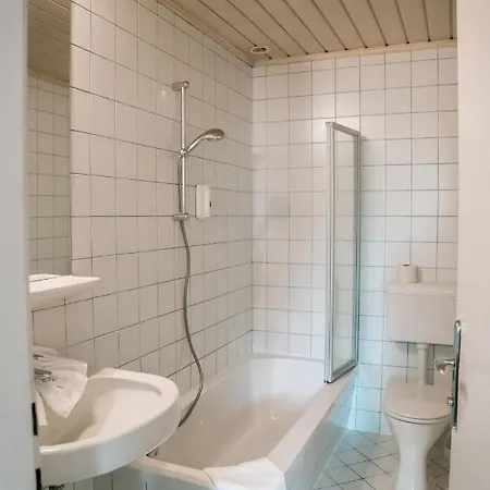 Wirtshaus Roemerhof 3* Λάιμπνιτς